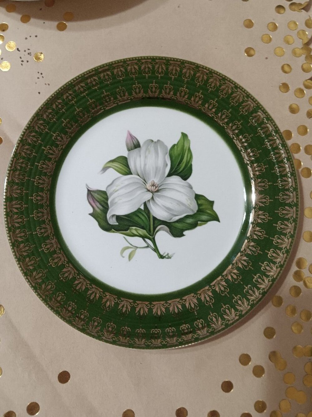 Set of 2 Vintage Trillium Forest Green 22K Gold 10” Dinner Plates MINT! LQQK!